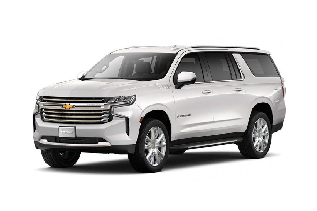 Seguridad y Confort VIP Vallarta